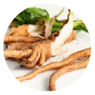 Inulin (Prebiotic)