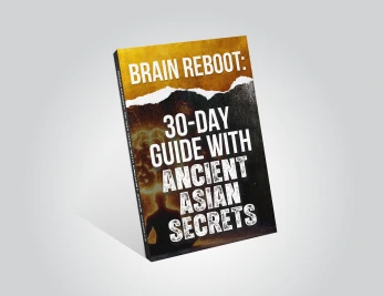 Brain Reboot